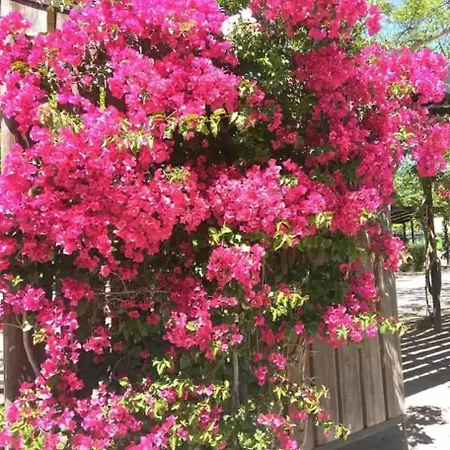 Apartman De 3 Cambrils
